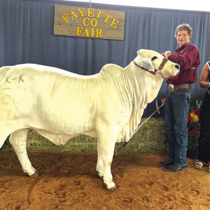 JUNIOR BEEF BREEDING SHOW SENIOR RESERVE SHOWMANSHIP Colton Klesel and Fayette County Fair Queen Teagan Branch