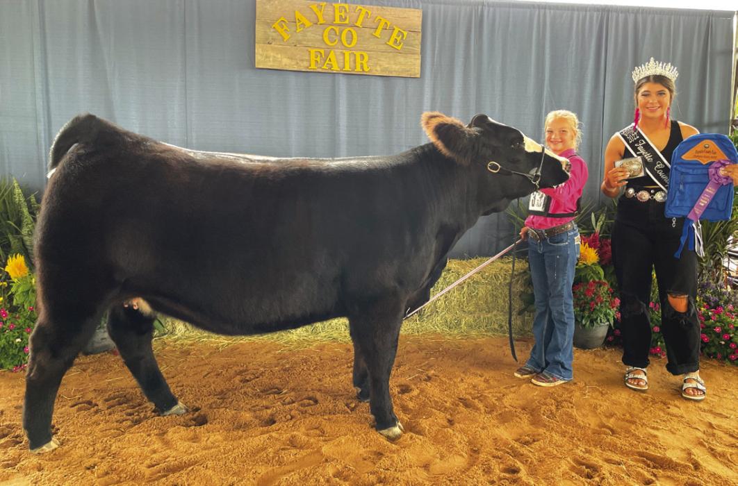 JUNIOR BEEF BREEDING SHOW RESERVE OVERALL AND EXOTIC GRAND CHAMPION Kaylyn Beseda with Fayette County Fair Queen Teagan Branch