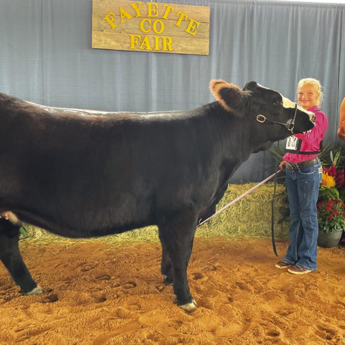 JUNIOR BEEF BREEDING SHOW RESERVE OVERALL AND EXOTIC GRAND CHAMPION Kaylyn Beseda with Fayette County Fair Queen Teagan Branch