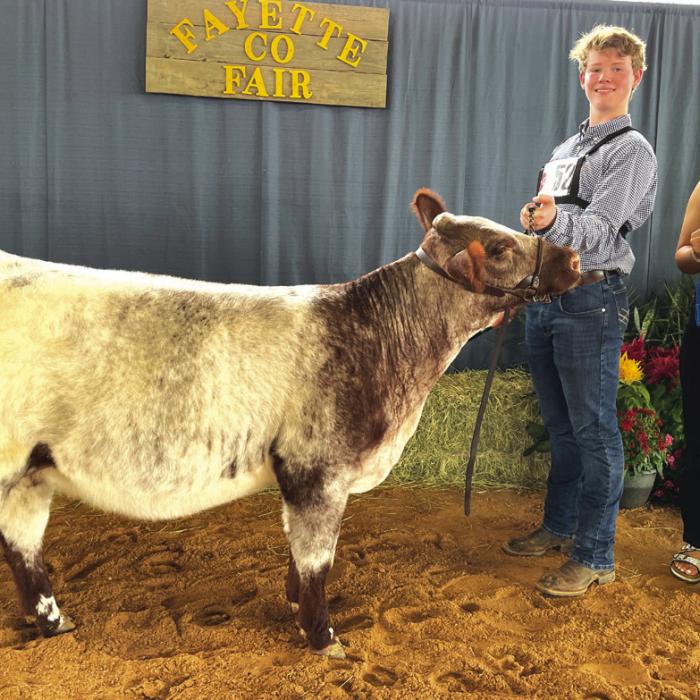 JUNIOR BEEF BREEDING SHOW BRITISH GRAND CHAMPION Cash Smith with Fayette County Fair Queen Teagan Branch