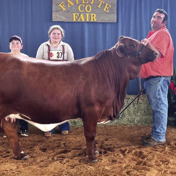 JUNIOR BEEF BREEDING SHOW OLDTIMERS SHOWMANSHIP Brandon Karisch, with, from left, Rilan and Rheagan Karisch, and Fayette County Fair Queen Teagan Branch