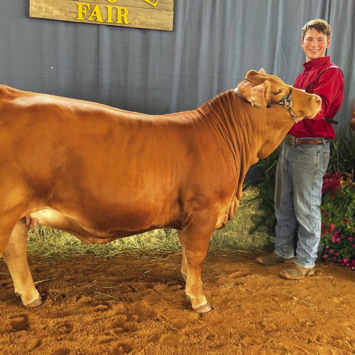 JUNIOR BEEF BREEDING SHOW SENIOR SHOWMANSHIP Cooper Mau and Fayette County Fair Queen Teagan Branch