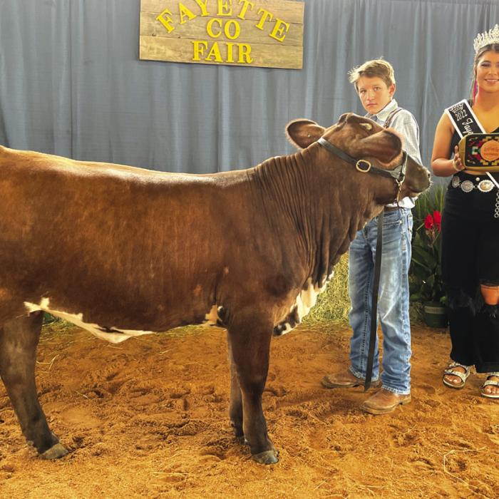 JUNIOR BEEF BREEDING SHOW INTERMEDIATE RESERVE SHOWMANSHIP Ryder Klesel and Fayette County Fair Queen Teagan Branch