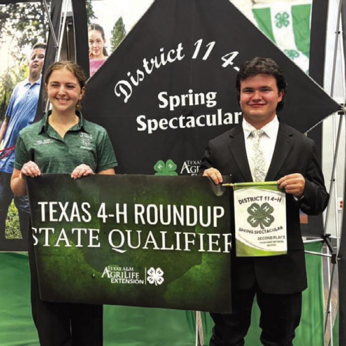 Abbey Wallis-District 11 4-H Officer with Logan Poncik, Educational Presentation and Consumer Decision Making.