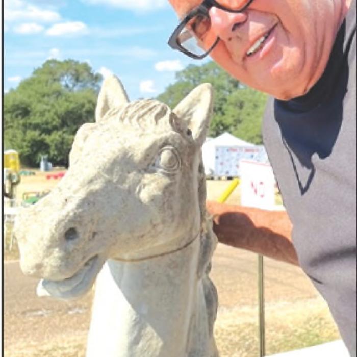 Horsing Around Warrenton