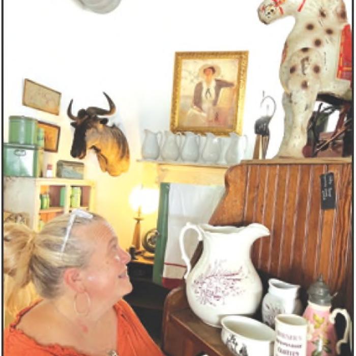 Horsing Around Warrenton