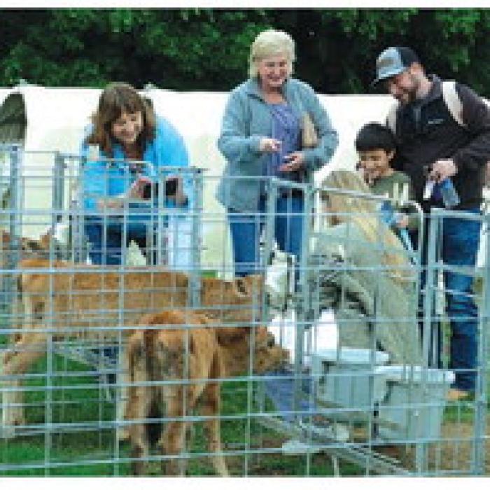 Easter Fun at La Grange’s Jersey Barnyard