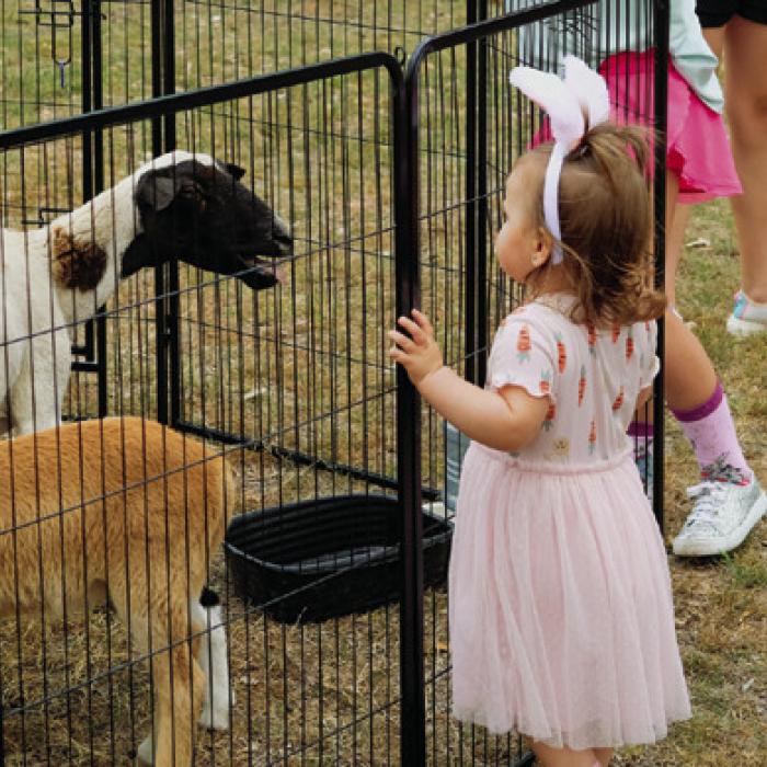 The children got to pet sheep and goats from JDF Horse Rescue after the egg hunt.