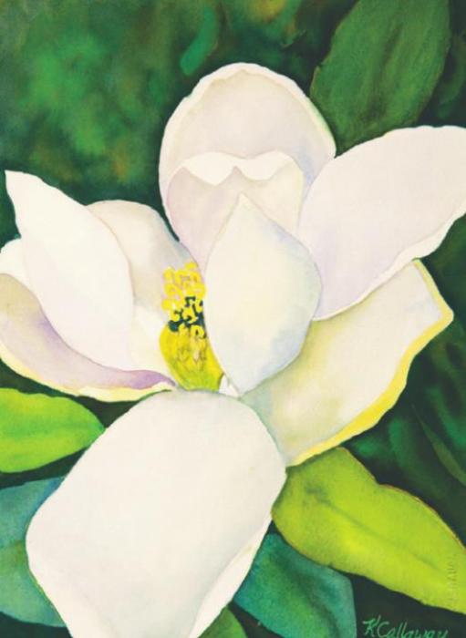Milky Magnolia by Kathy Callaway, Watercolor