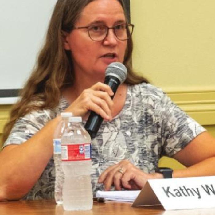 LG City Council Hopefuls Tout Their Candidacy at Forum