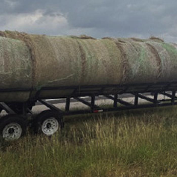 Dozen People Found Smuggled in Hollowed-Out Hay Bales