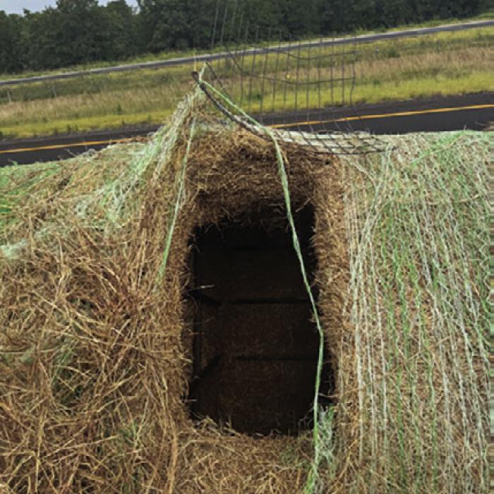 Dozen People Found Smuggled in Hollowed-Out Hay Bales