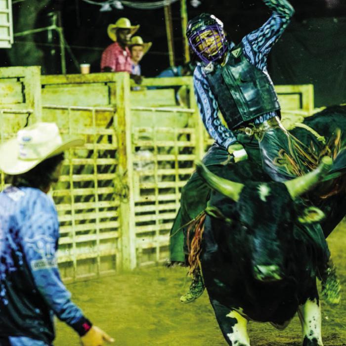 Justin Hill of Crosby tried to stay on to the back of a bucking bull during the Schulenburg Festival Rodeo Saturday night. Photos by Andy Behlen