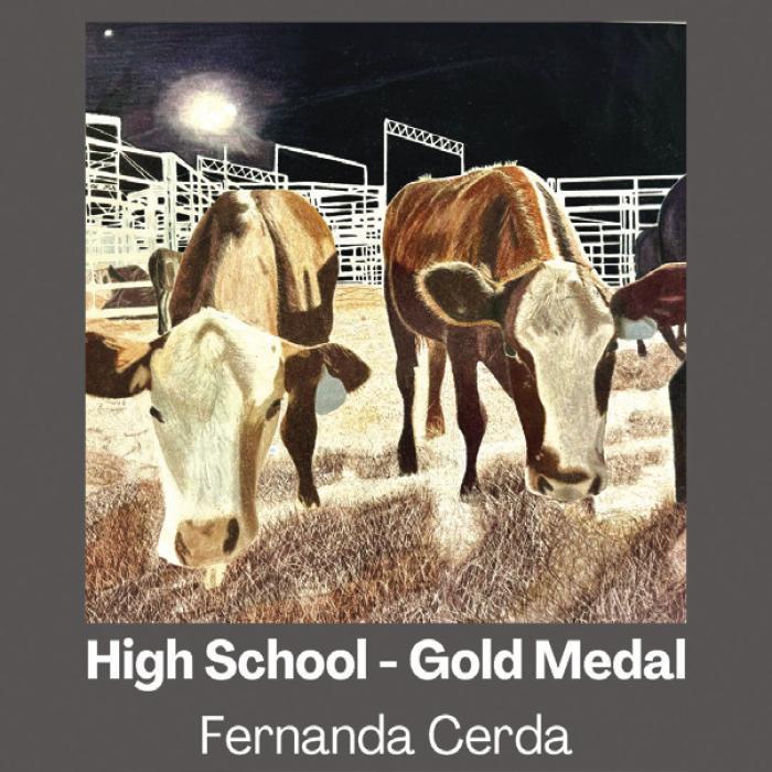 Round Top-Carmine Houston Livestock Show and Rodeo Art Winners