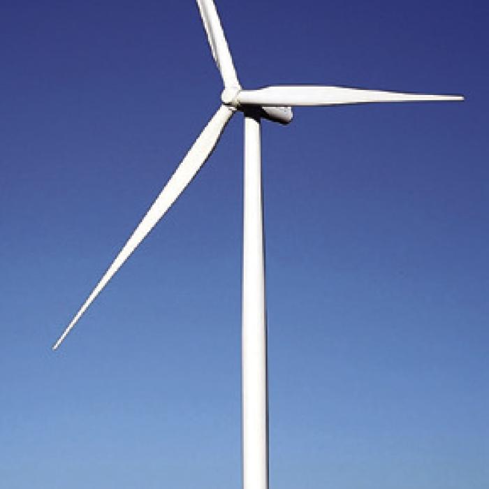 In it to Wind It