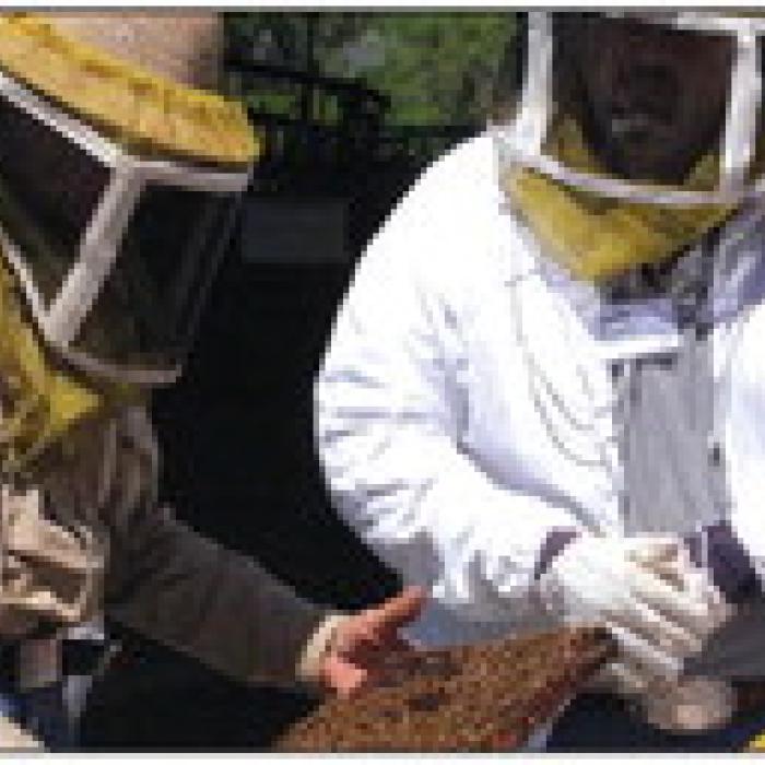 Central Texas Beekeepers School Set