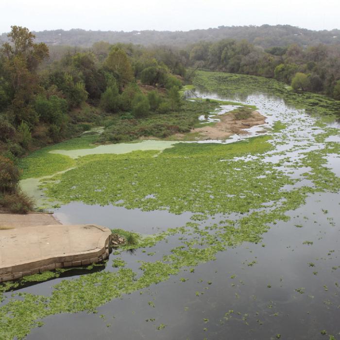 Here’s a shot of the river, looking downstream, Monday from atop the Business 71 bridge in La Grange, overlooking the boat ramp. Photo by Jeff Wick