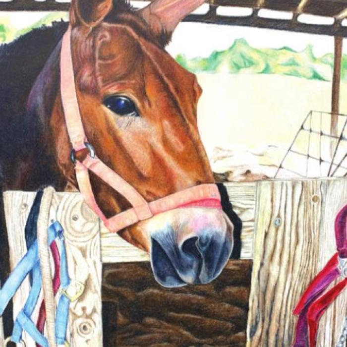 LGISD Western Art Advances to Houston Rodeo Show