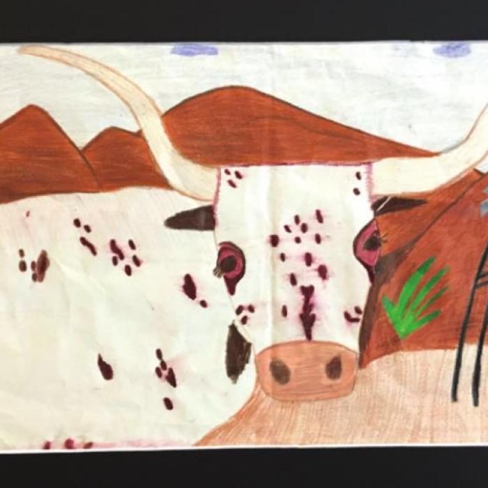 LGISD Western Art Advances to Houston Rodeo Show