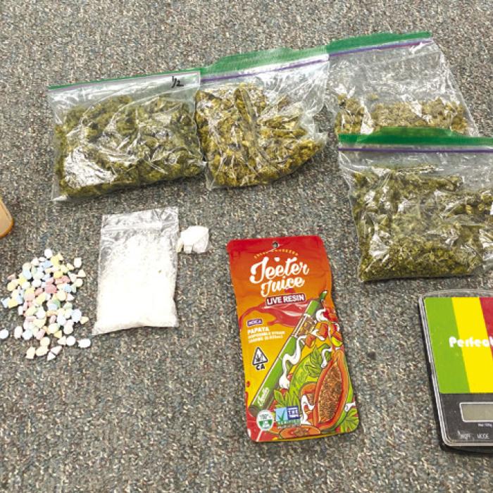 Deputy Nagel Makes Narcotics Arrest