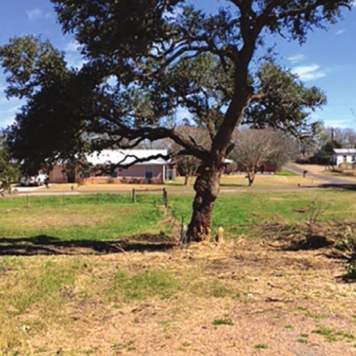 Brush cleared for the Fayetteville Park Project.