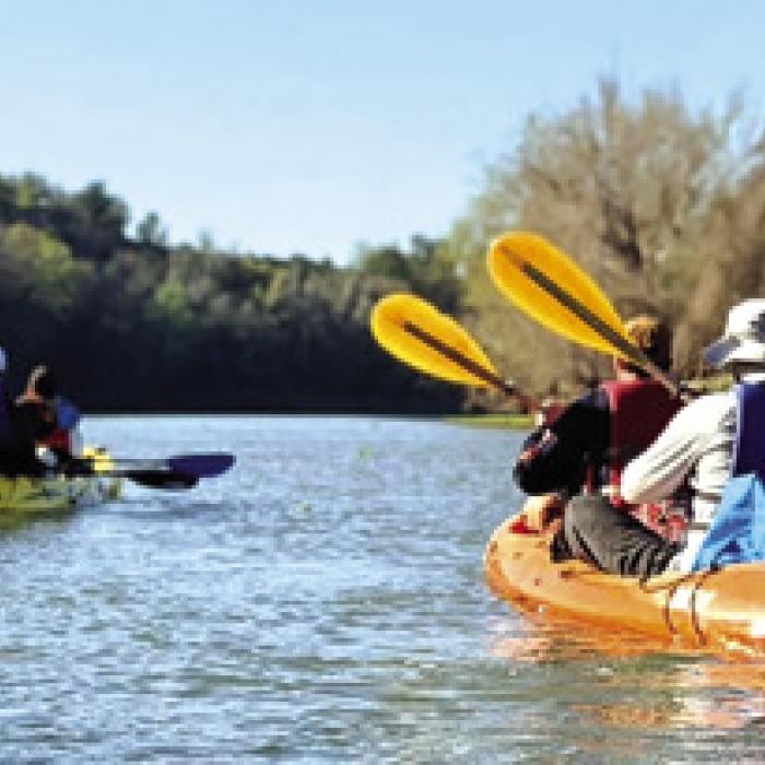 Six Wicks (and two dogs) on the Colorado River last week.