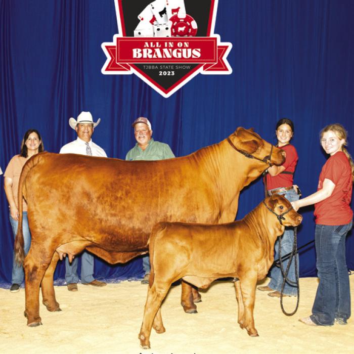 Rachel Matocha Wins Reserve Grand Champion
