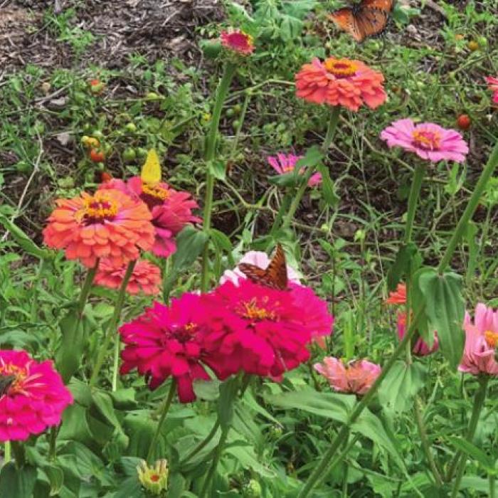 Turn Your Compost into Compost Tea