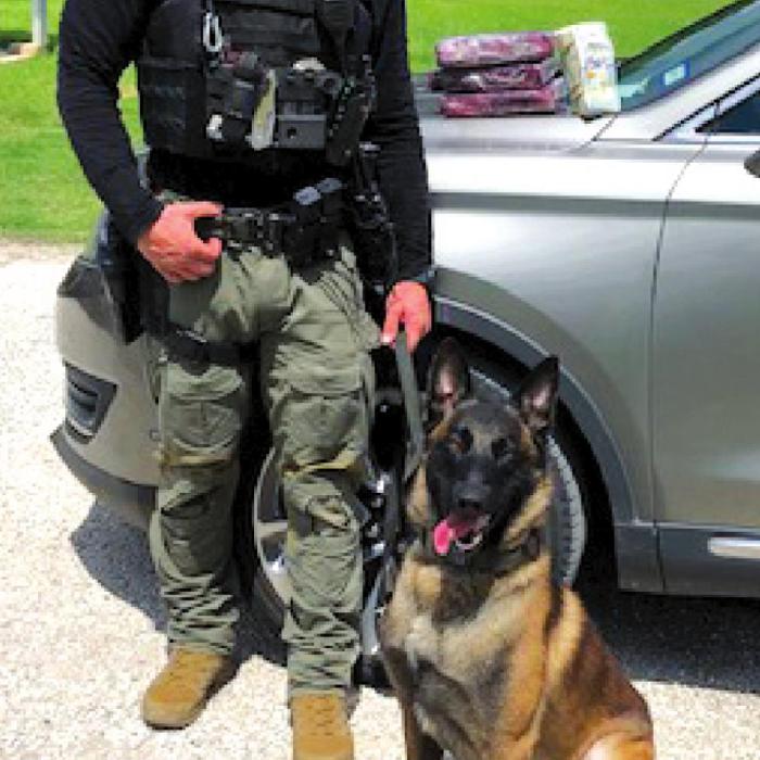 K-9 Unit Seizes Cocaine