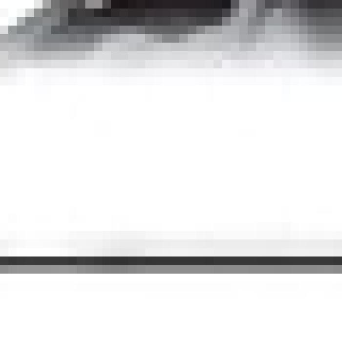 Alt Text for Image