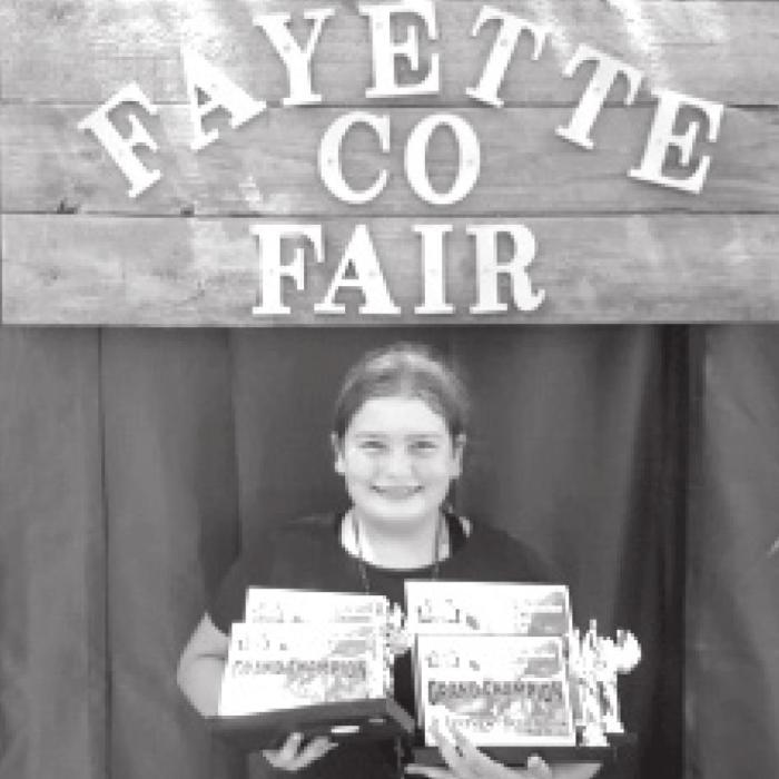 Rheagan Karisch received many awards at the Fayette County Fair Commercial Heifer Show recently.