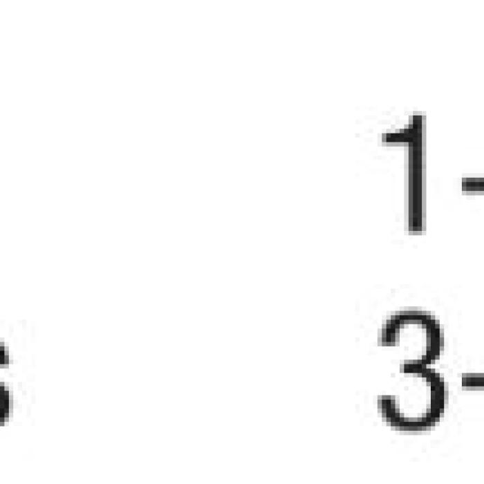 No. 1-Ranked Shiner Beats Flatonia 42-0