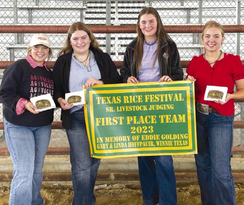 4-H Competes in Texas Rice Festival Livestock Judging Contest