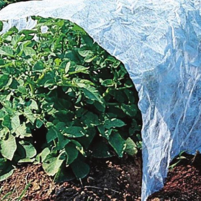 Example of a floating row cover to protect from cold temperatures.