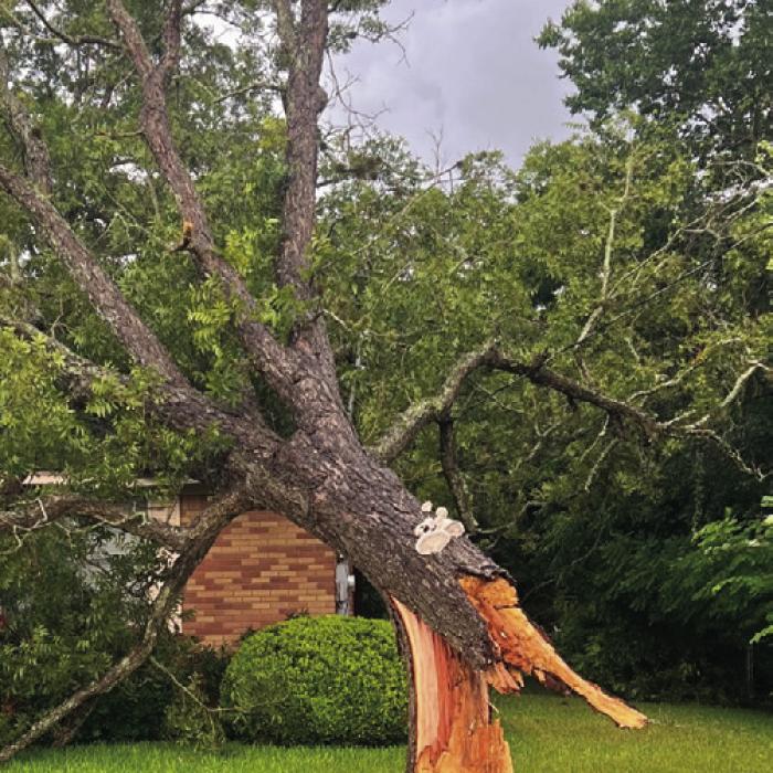 Storm Winds Pack a Punch Here