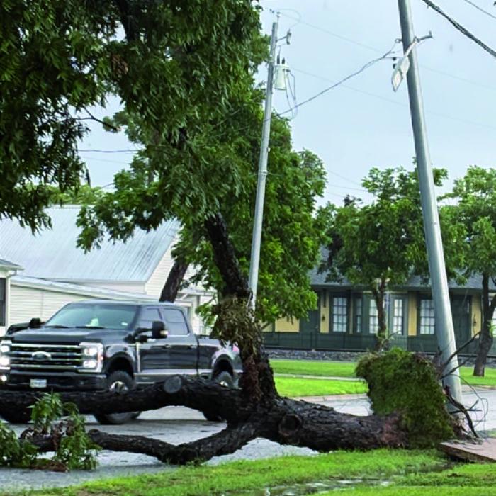 Storm Winds Pack a Punch Here