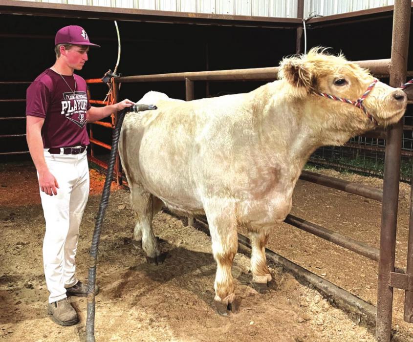 It’s Show Time: Kids from Across Fayette Ready to Display Their Hard Work as County Livestock Show Begins Friday