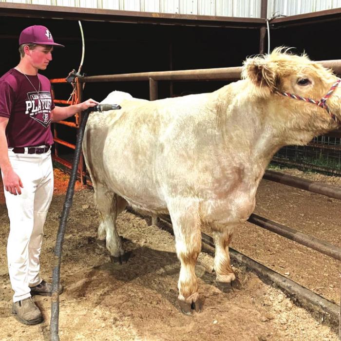 It’s Show Time: Kids from Across Fayette Ready to Display Their Hard Work as County Livestock Show Begins Friday