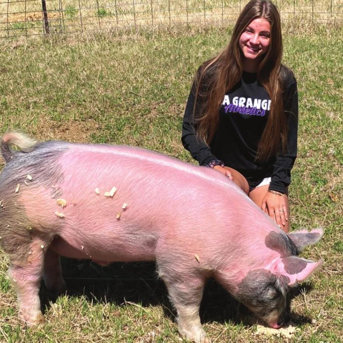 It’s Show Time: Kids from Across Fayette Ready to Display Their Hard Work as County Livestock Show Begins Friday