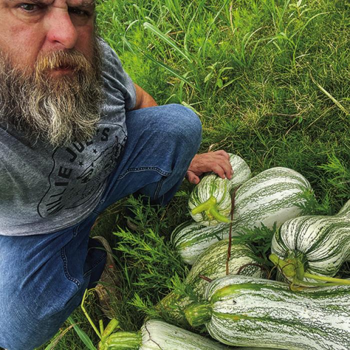 Some of my cushaw squash weigh over 20 lbs. a piece.