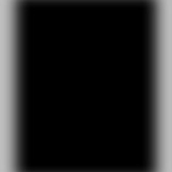 Alt Text for Image