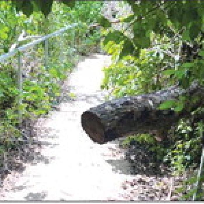 It’s An Uphill Battle Dealing With Mother Nature