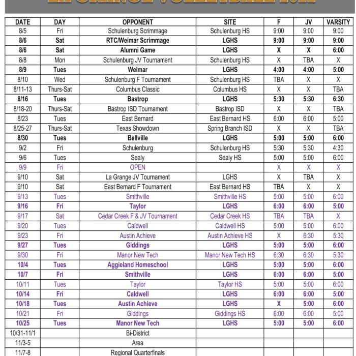 Volleyball Season Just Three Weeks Away