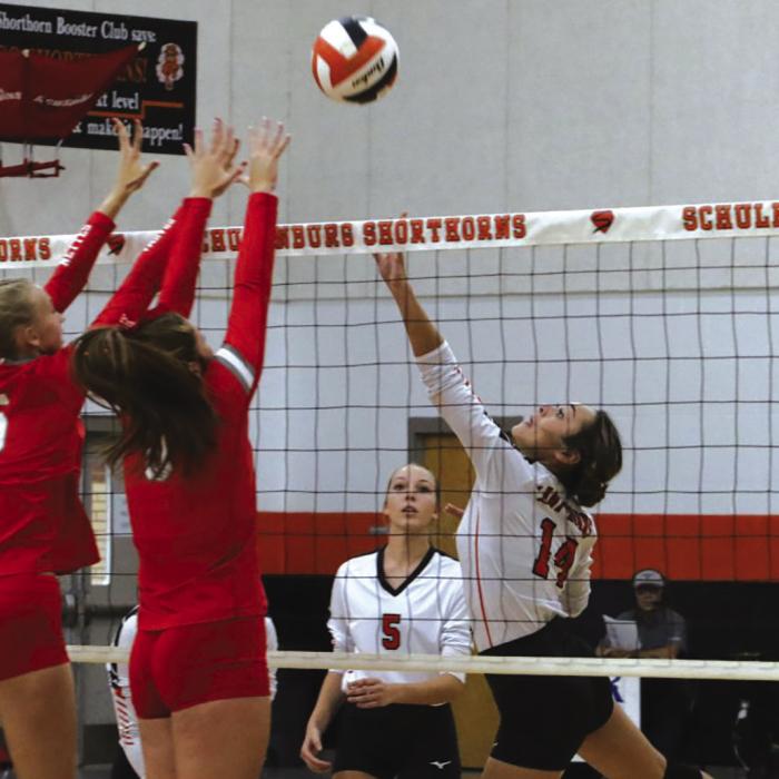 Schulenburg  Volleyball Update
