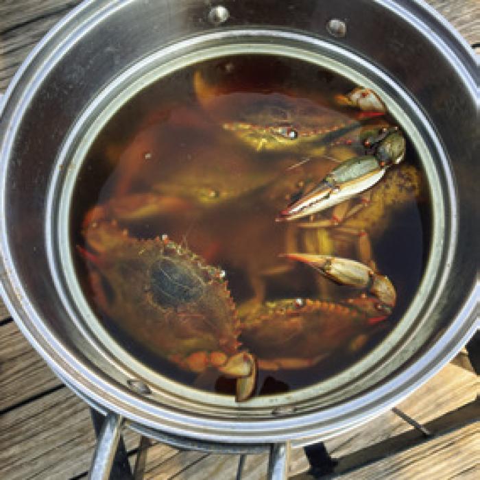 I boiled and picked a bunch of crabs on Monday to make some stuffing.