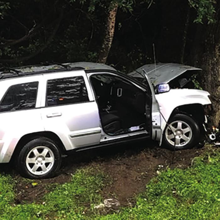 As law enforcement officers approached this vehicle after it wrecked following a pursuit on South Knesek Road, a swarm of bees was observed around the vehicle and they stung officers.