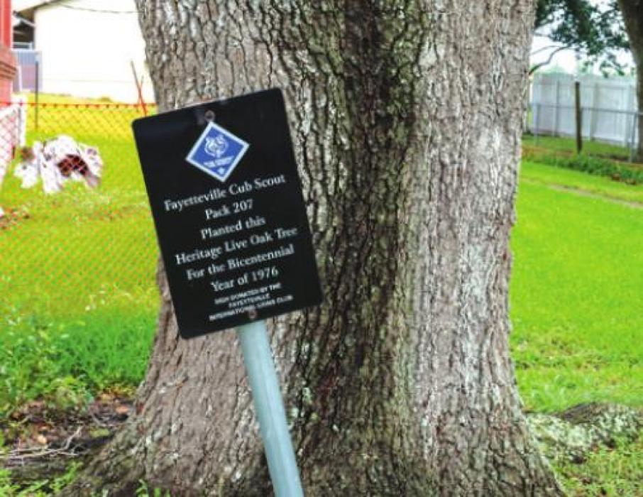 During the Nation’s bicentennial in 1976, the local Cub Scout den planted a live oak tree in front of the schoolhouse.