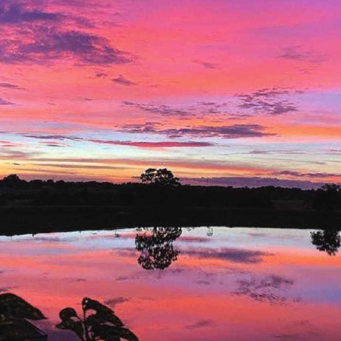 Conditions in the atmosphere create the vivid colors we see at sunrise and sunset. Photo by Christa Howells