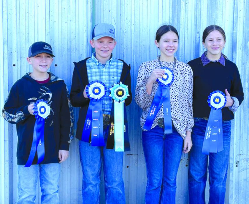 Fayette County 4-H Competes in Wilson County