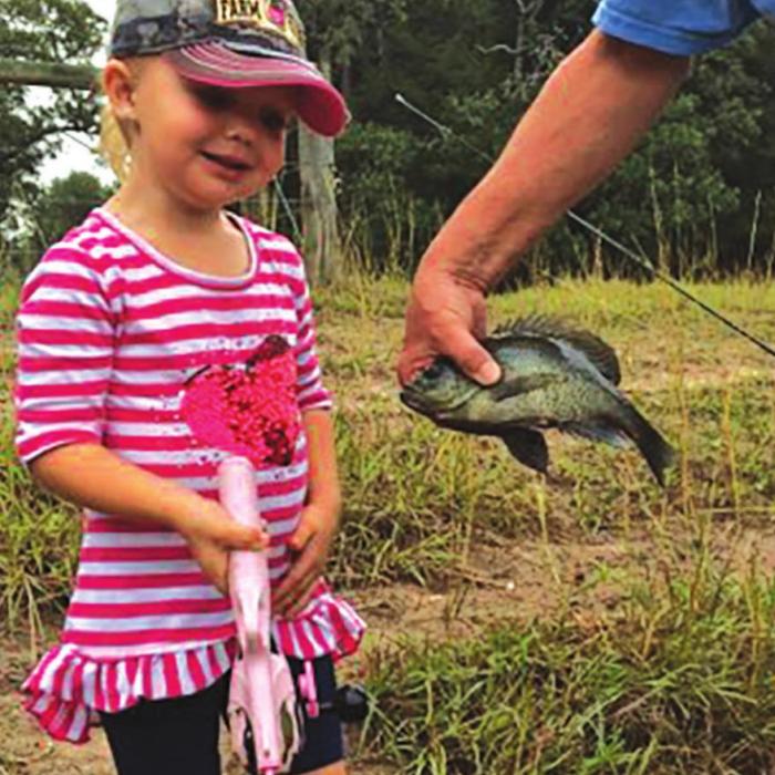 Fishing Fun In the Sun